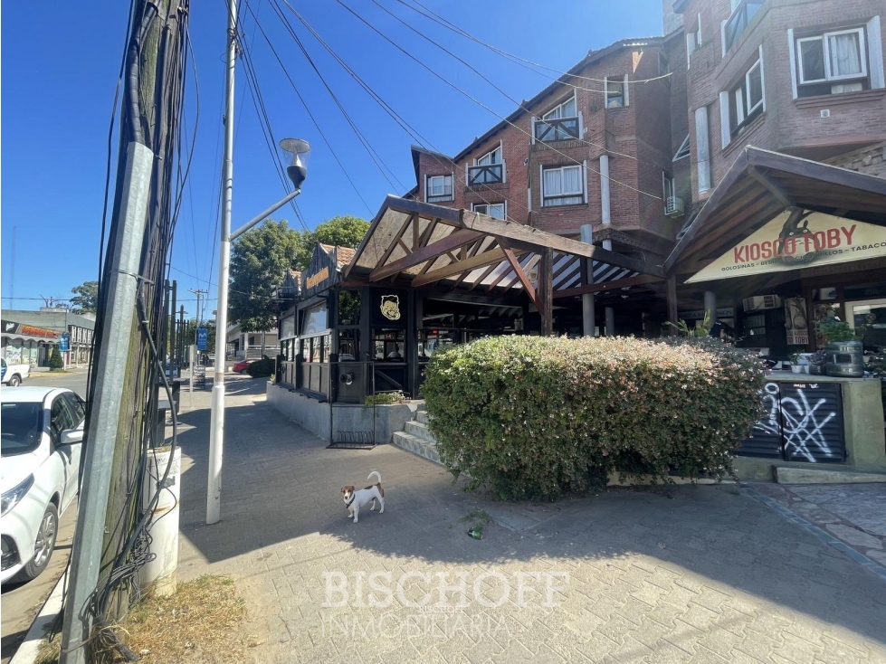 LOCAL COMERCIAL SOBRE AV. SHAW PINAMAR - 3