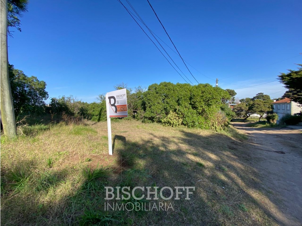 Venta de Lote en Ostende calle Moreno - 1