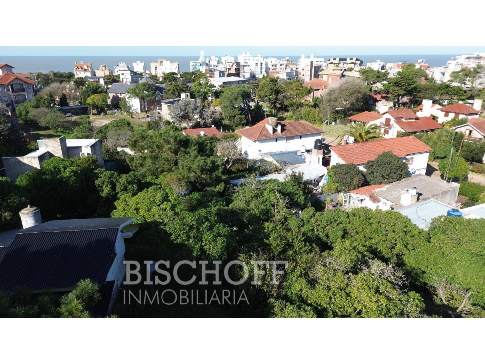 Venta de Lote en Ostende calle Moreno - 3