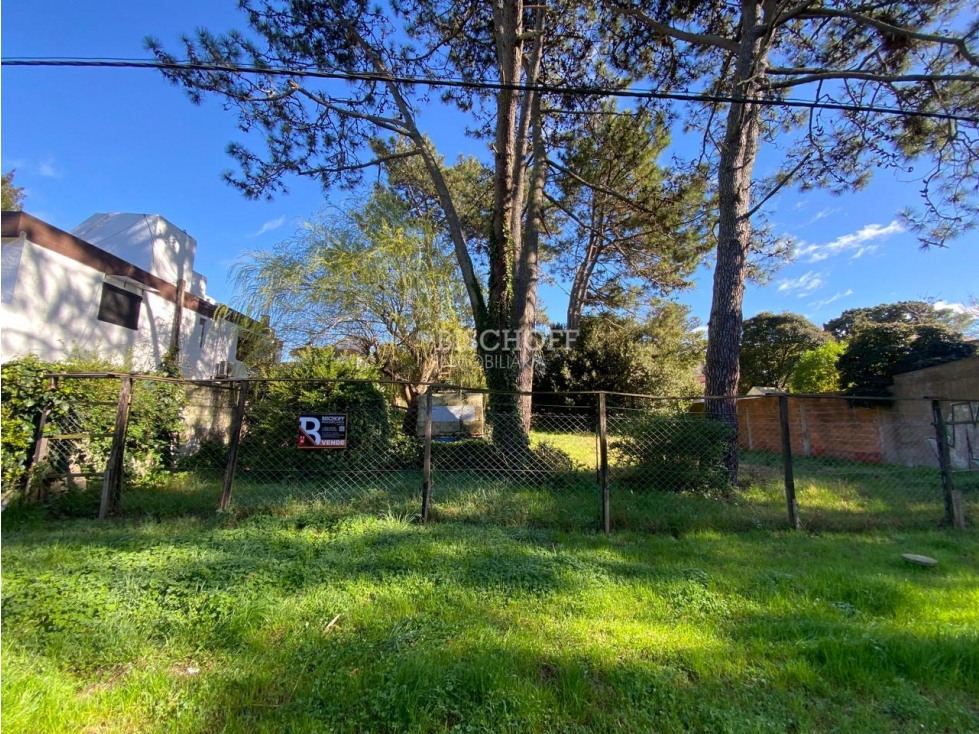 EXCELENTE TERRENO, ZONA CENTRO - 3
