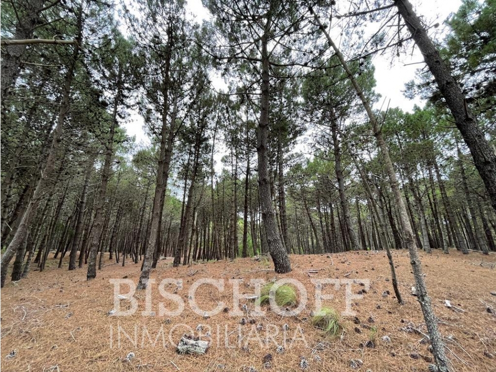 VENTA DE LOTE EN VILLA ROBLES BARRIO ALBATROS - 5