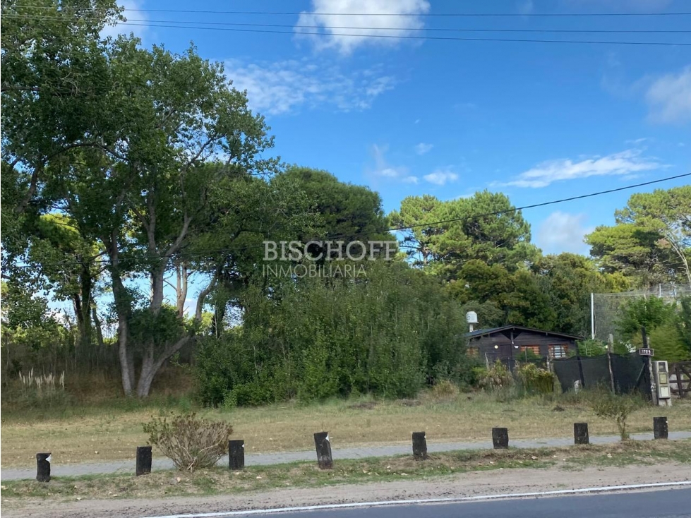 EXCELENTE TERRENO COMERCIAL, ACCESO NORTE VILLA GESELL - 3