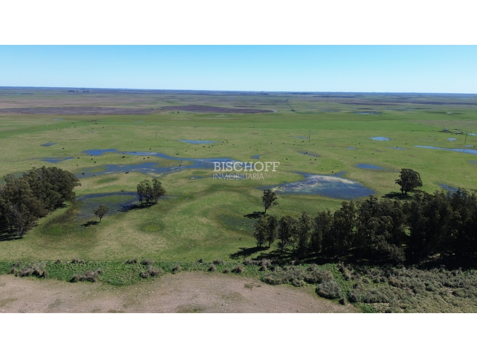 Lote en Venta Villa Robles Barrio Brisas - 3