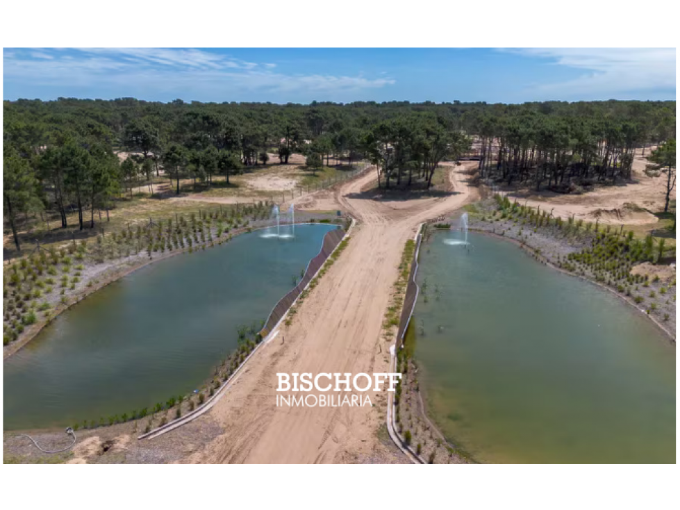 VENTA LOTE EN BARRIO BOSQUES CORTADERAS - 5