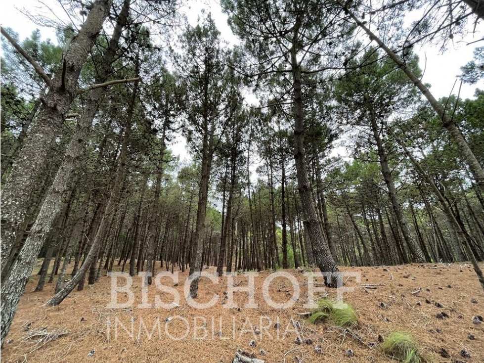 VENTA DE LOTE EN VILLA ROBLES BARRIO ALBATROS - 6