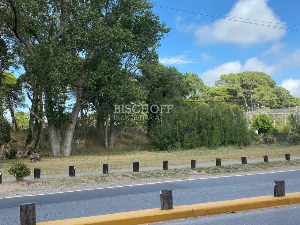 EXCELENTE TERRENO COMERCIAL, ACCESO NORTE VILLA GESELL - 4