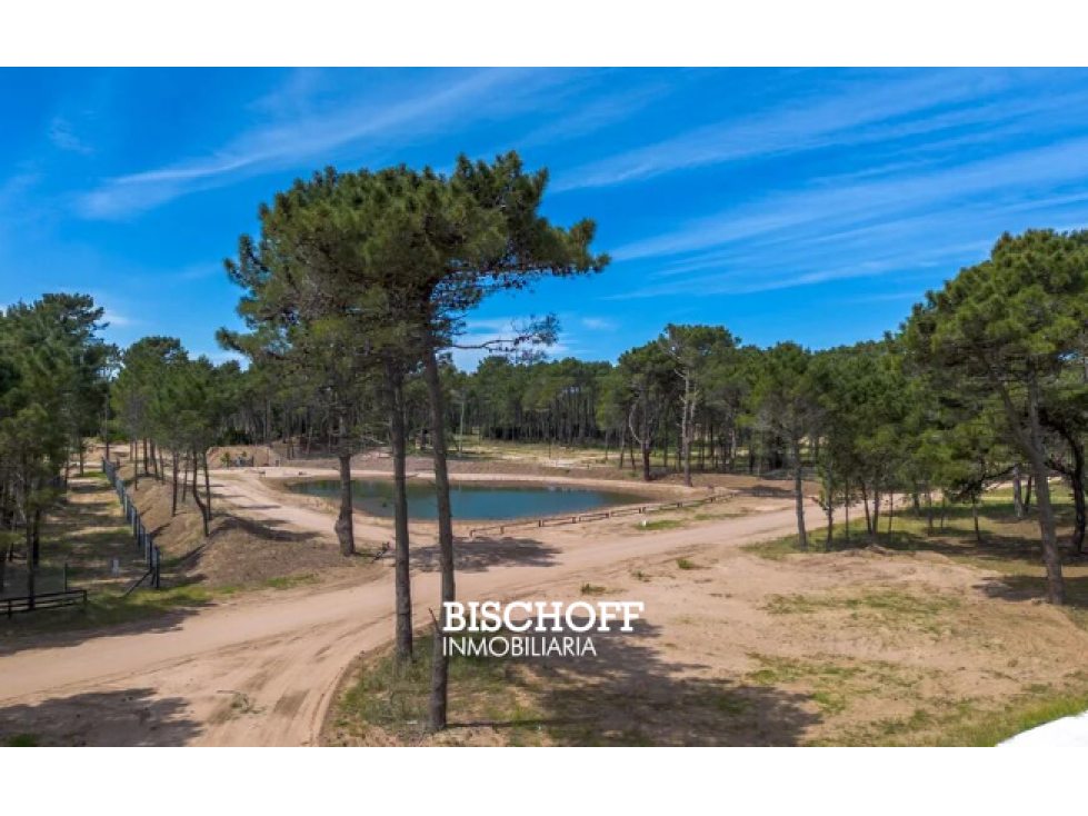 VENTA LOTE EN BARRIO BOSQUES CORTADERAS - 6