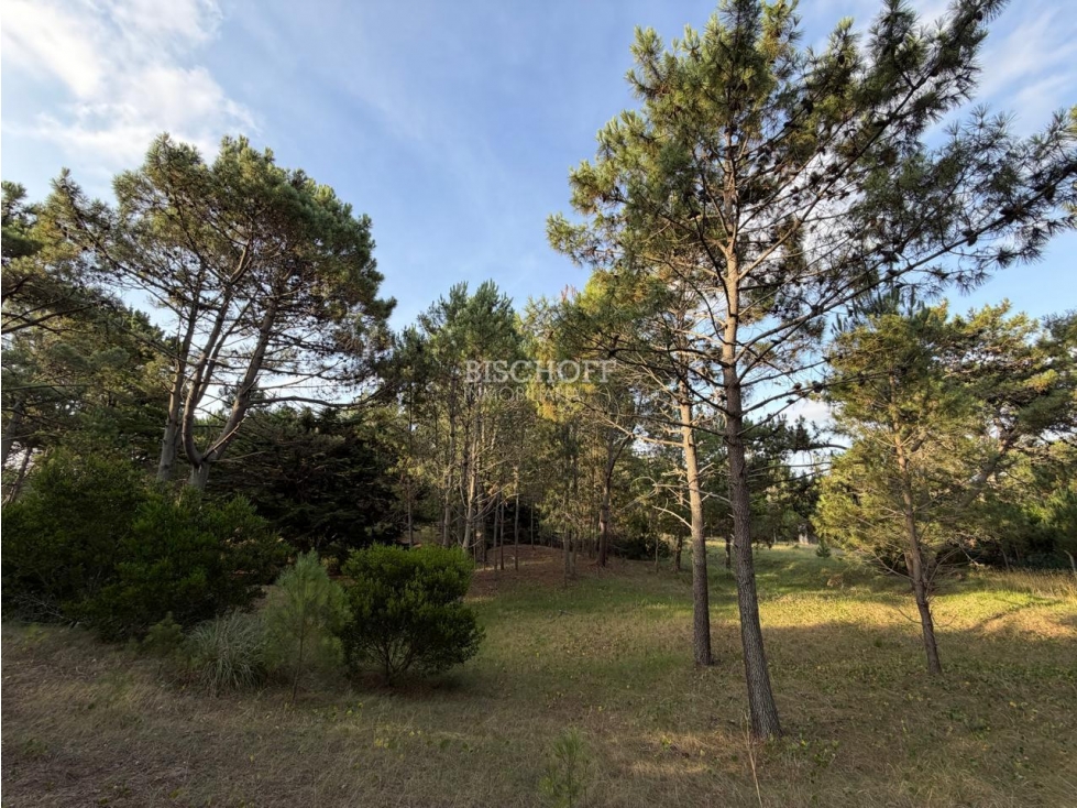 EXCELENTE TERRENO EN ACCESO NORTE, VILLA GESELL — foto 5