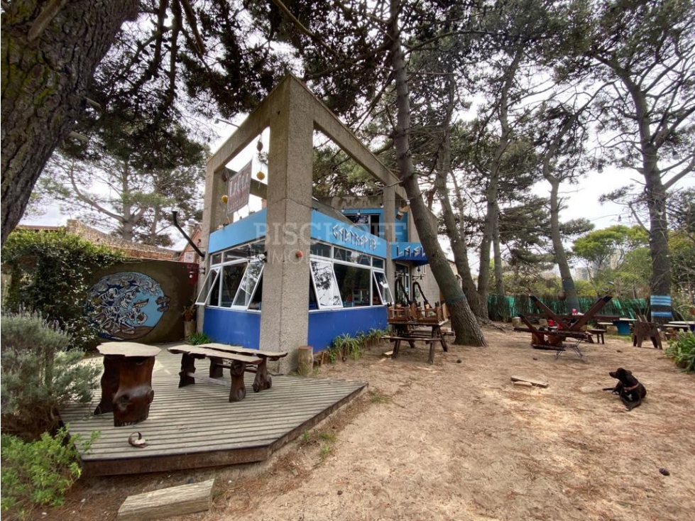 LOCAL COMERCIAL EN AMPLIO TERRENO A DOS CUADRAS DEL MAR, LAS GAVIOTAS — foto 2