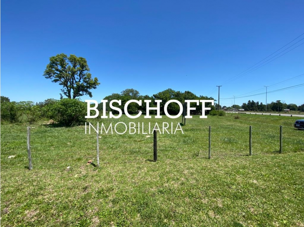 VENTA DE CHACRA EN GENERAL MADARIAGA - 5