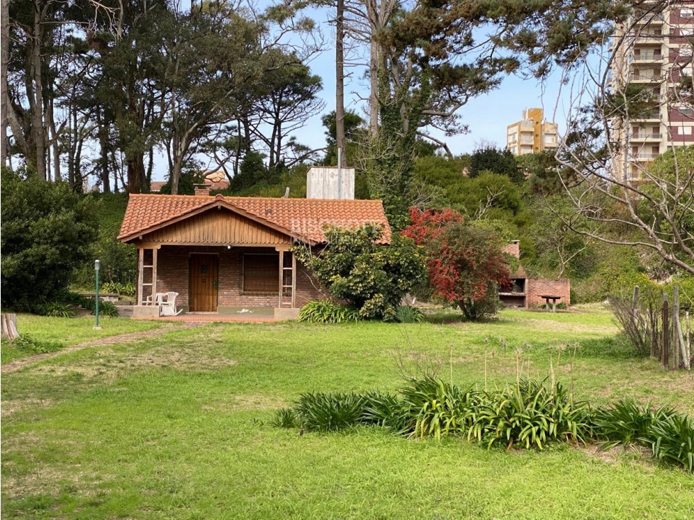 AMPLIO TERRENO CON DOS CASAS, TODOS LOS SERVICIOS - 1