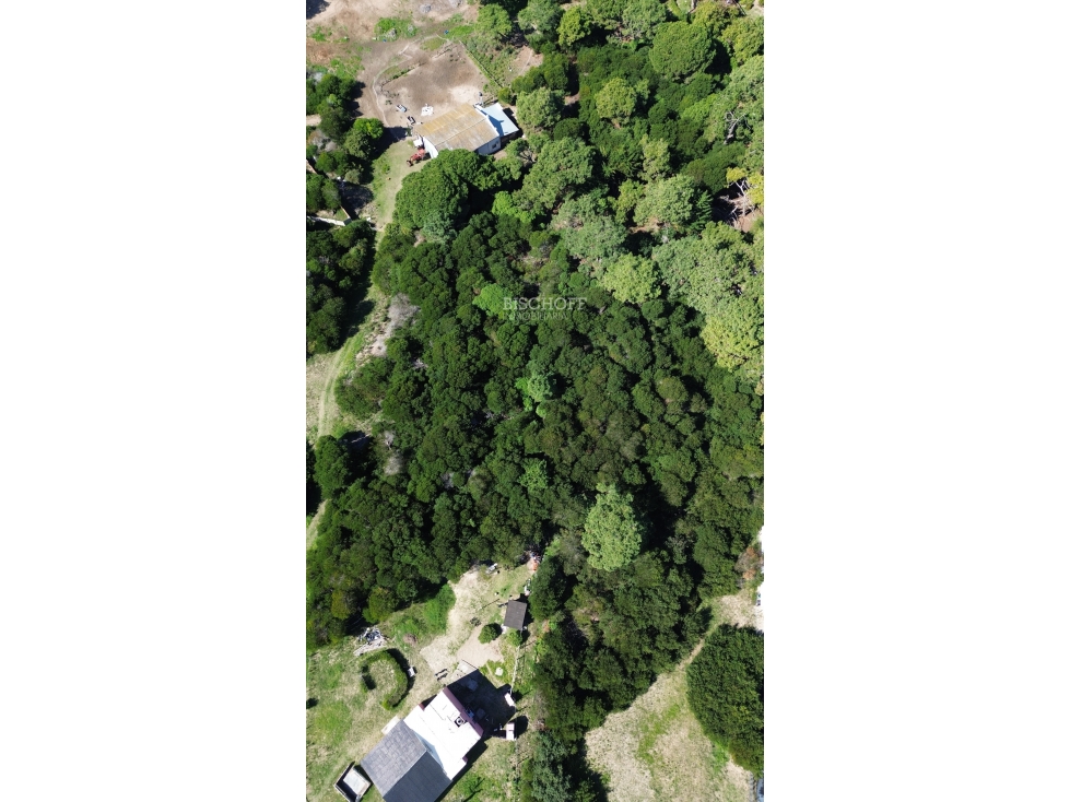 TERRENO MULTIFAMILIAR EN COLONIA MARINA — foto 3