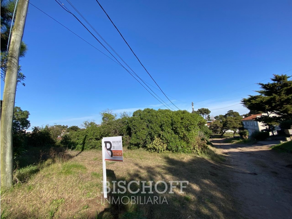 Venta de Lote en Ostende calle Moreno - 2