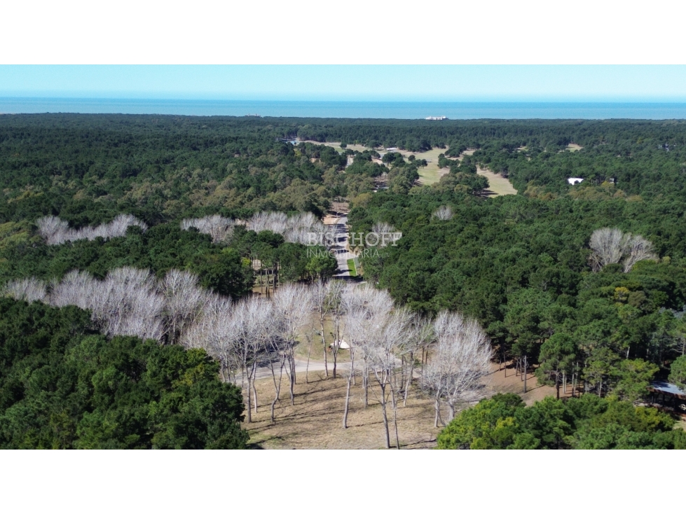 VENTA DE LOTE EN BARRIO BRISAS , VILLA ROBLES - 3