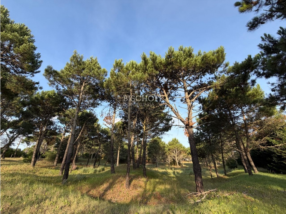 EXCELENTE TERRENO EN ACCESO NORTE, VILLA GESELL — foto 4