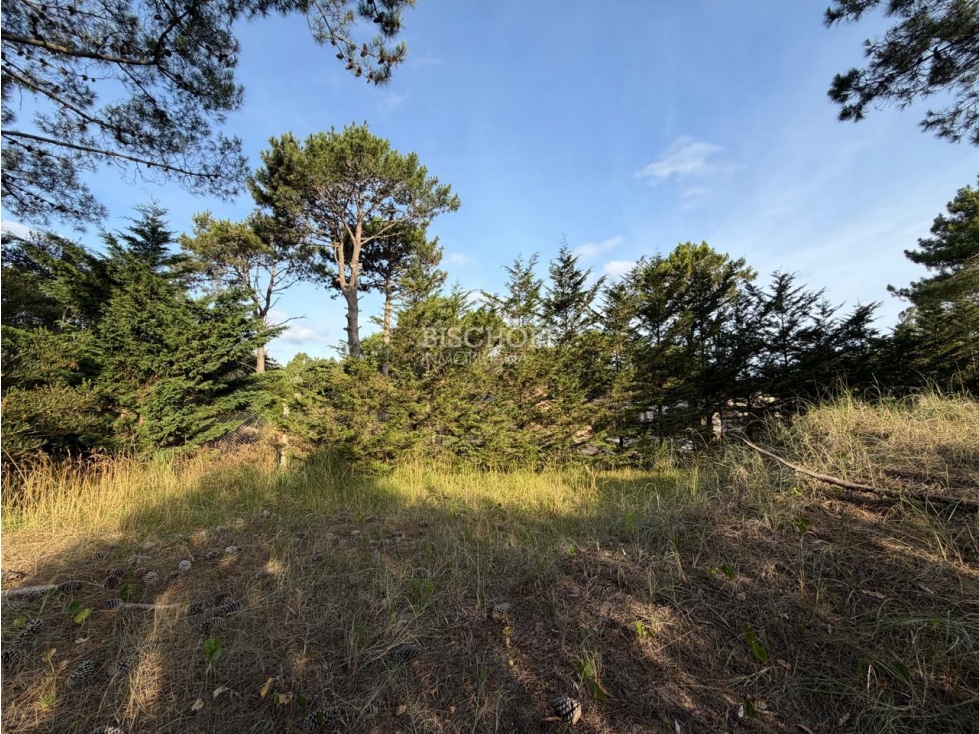 EXCELENTE TERRENO EN ACCESO NORTE, VILLA GESELL — foto 6