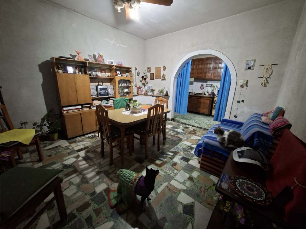 CASA Y 2 DEPTOS. CALLE D. ALIGHIERI - 2