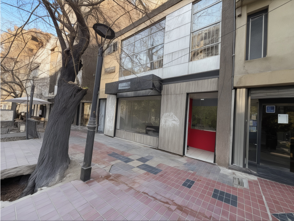 Alquiler local comercial capital - 1