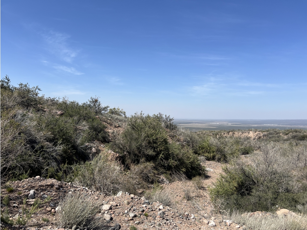 Venta de lote Lujan de Cuyo - 6