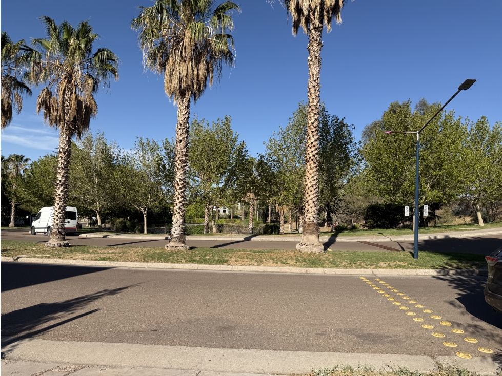 Venta Lote en Godoy Cruz Barrio Palmares con Amenities - 2