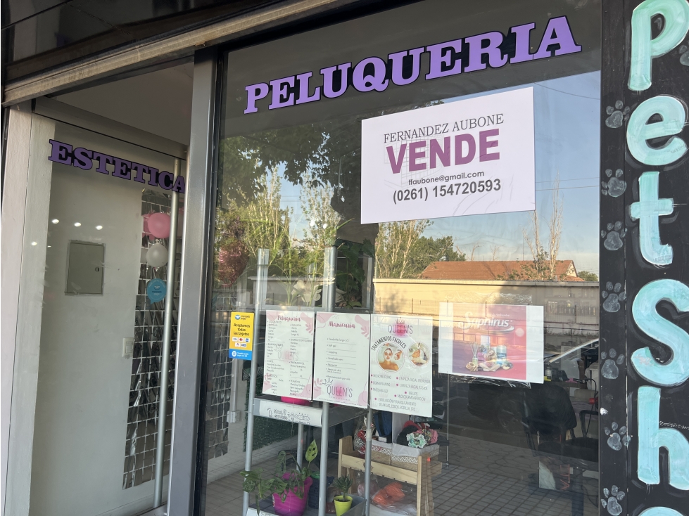 Venta Local comercial en Godoy Cruz - 4
