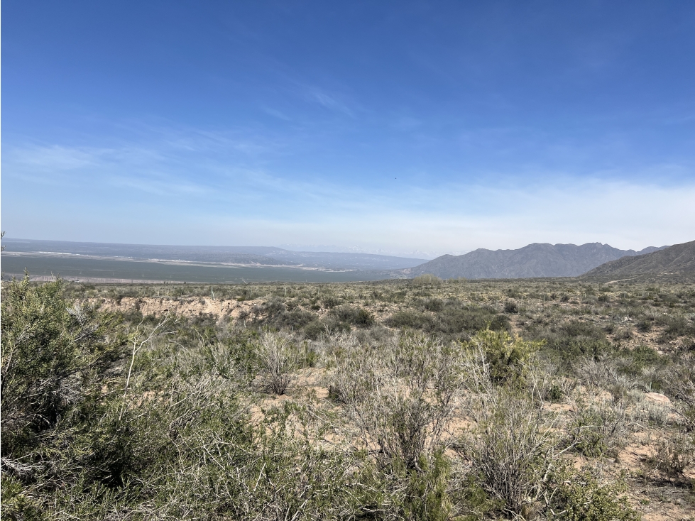 Venta de lote Lujan de Cuyo - 3
