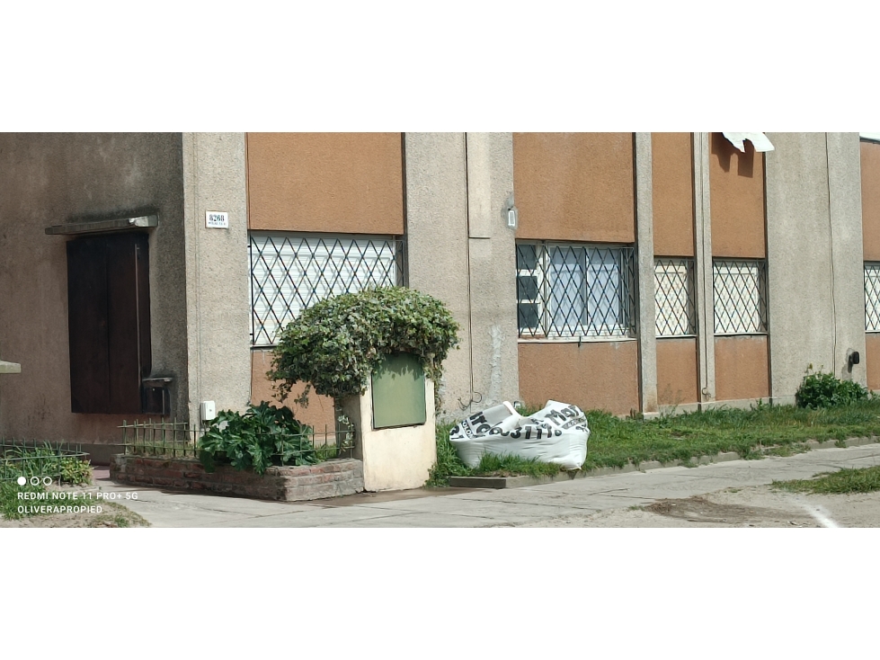 DEPARTAMENTO 4 AMB PLANTA BAJA
