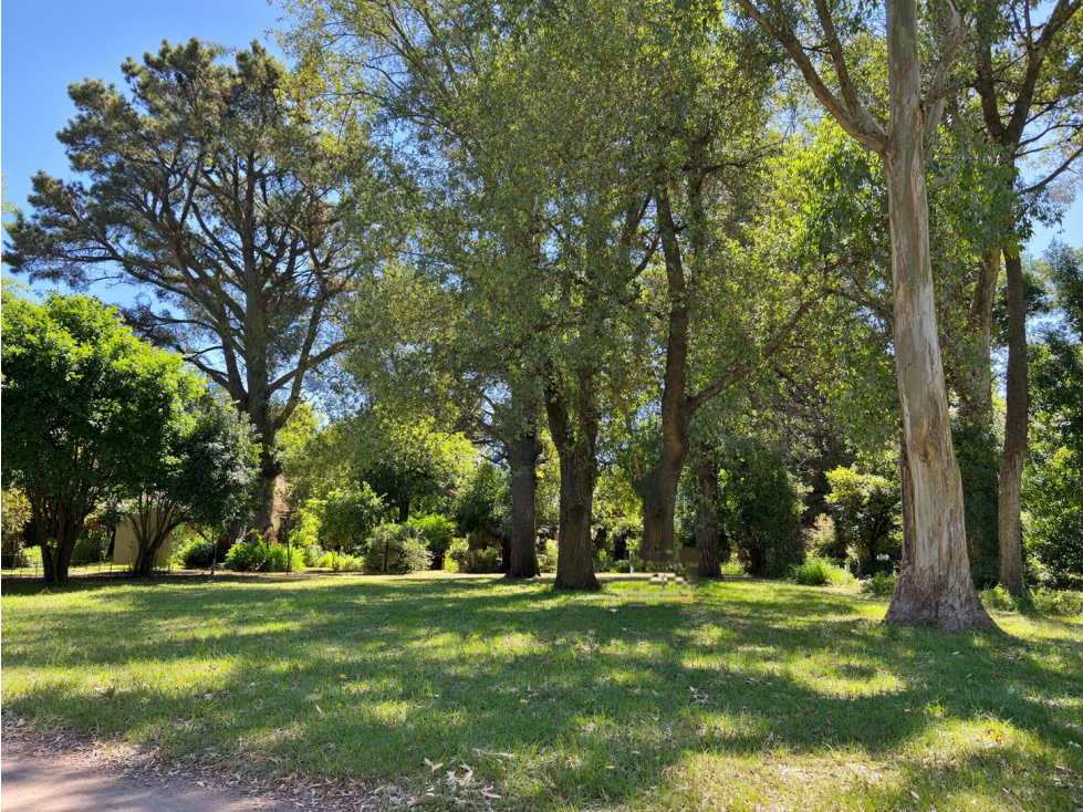 VENTA TERRENO 600M2 SIERRA DE LOS PADRES - 2