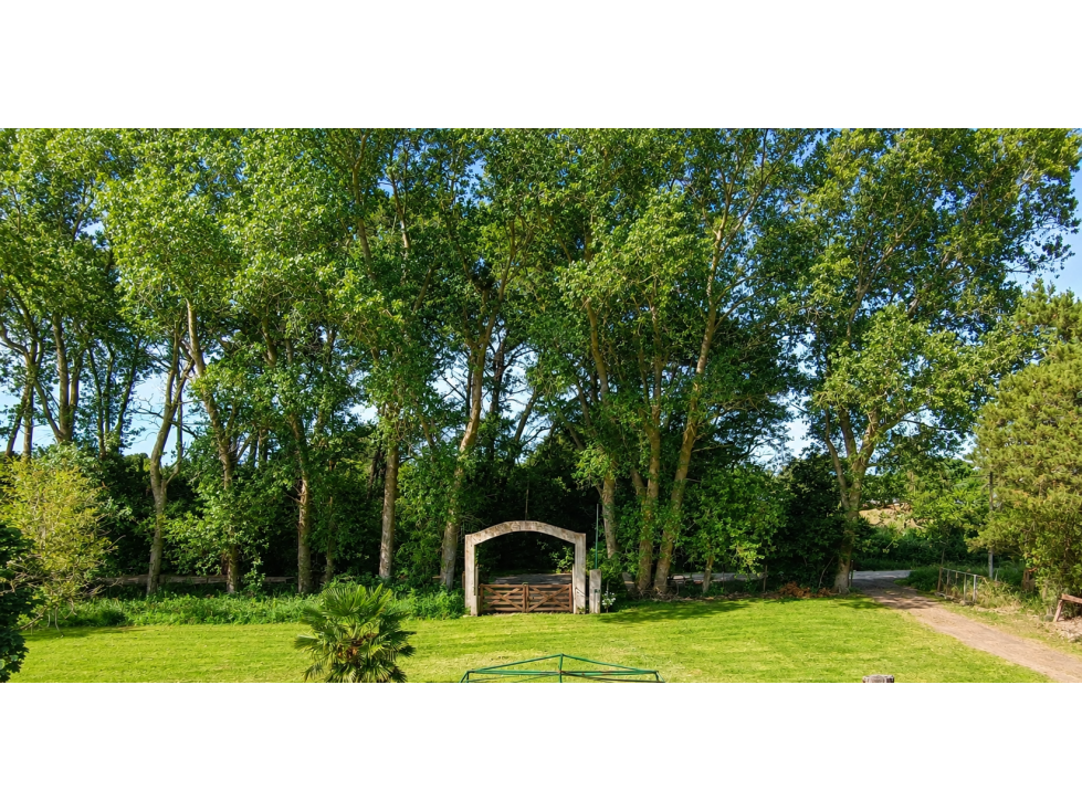 Fracción 22.500 m² en Sierra de los Padres | Gran Potencial — foto 3