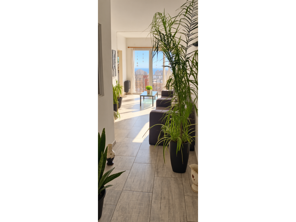 AMBIENTE Y MEDIO CON BALCÓN VISTA AL MAR — foto 5