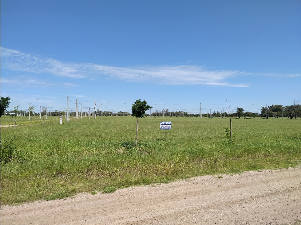 SE VENDE TERRENO A METROS DEL LAGO PIEDRAS MORAS - TS. DEL FUNDADOR - 2