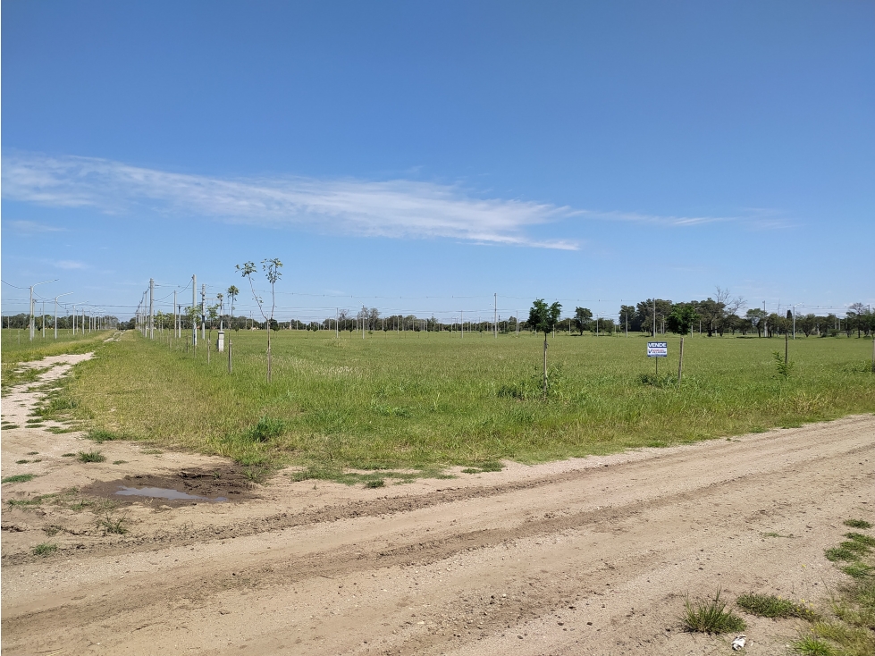 SE VENDE TERRENO A METROS DEL LAGO PIEDRAS MORAS - TS. DEL FUNDADOR - 3
