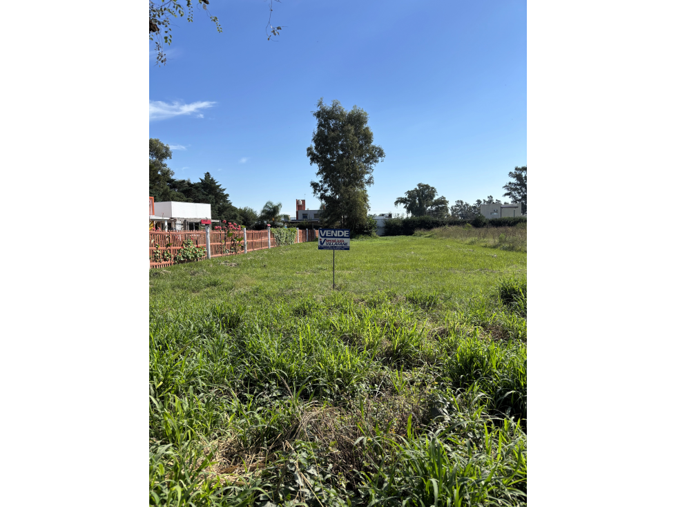 SE VENDE TERRENO EN B° PINARES - calle Pedro Giachino - 2