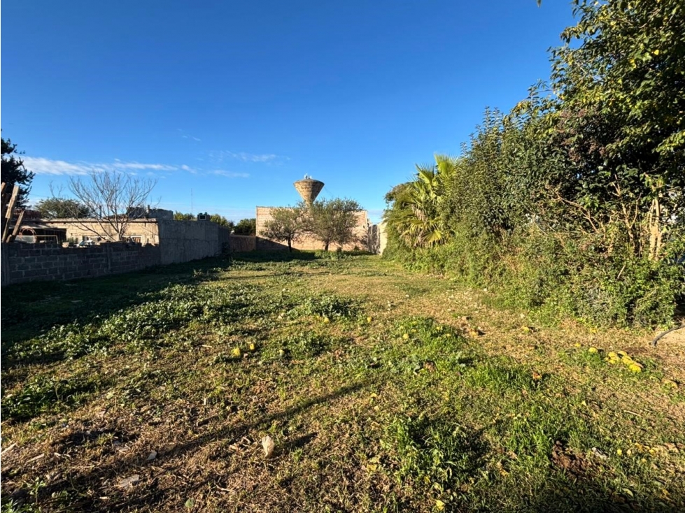 SE VENDE TERRENO SOBRE CALLE PASO - CON GAS NATURAL - ALMAFUERTE - 3