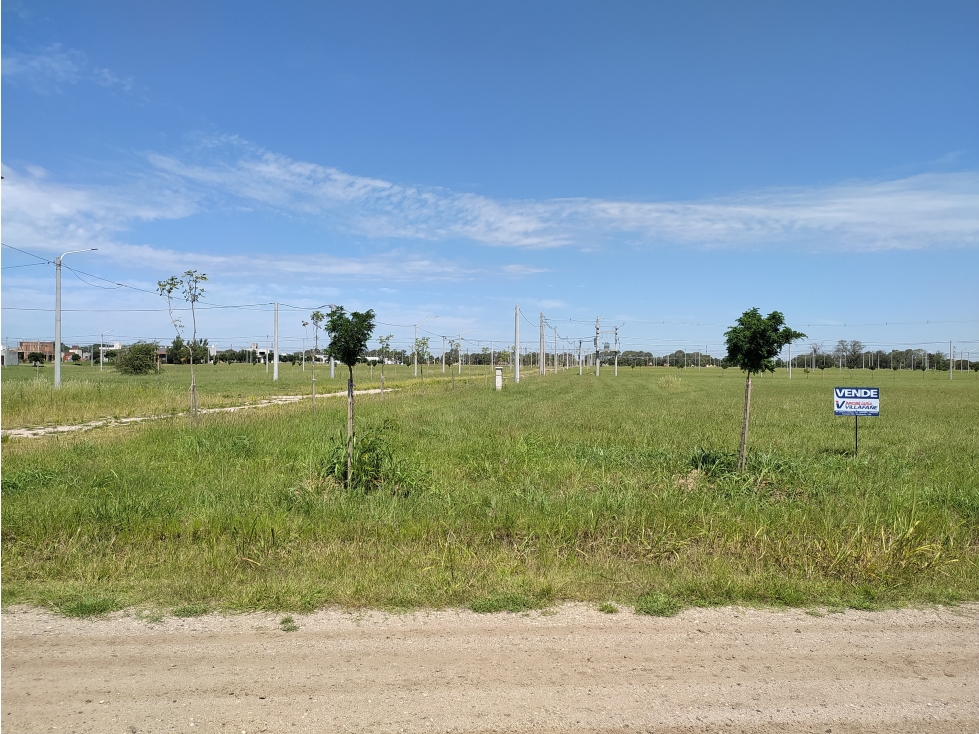 SE VENDE TERRENO A METROS DEL LAGO PIEDRAS MORAS - TS. DEL FUNDADOR - 5