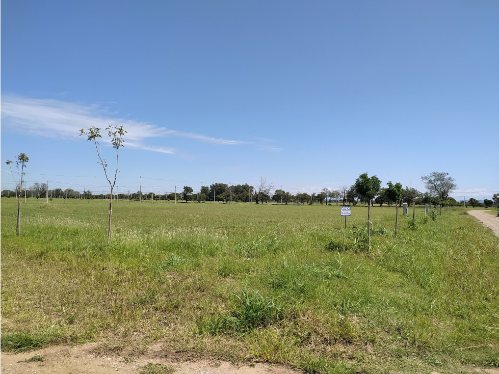 SE VENDE TERRENO A METROS DEL LAGO PIEDRAS MORAS - TS. DEL FUNDADOR - 6