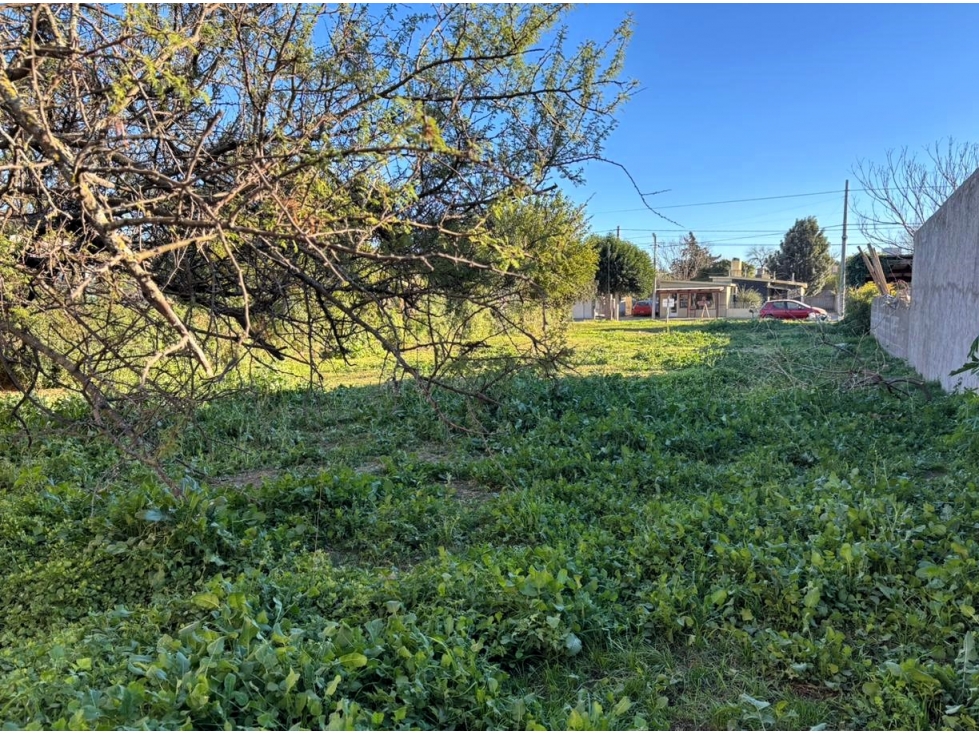 SE VENDE TERRENO SOBRE CALLE PASO - CON GAS NATURAL - ALMAFUERTE - 5