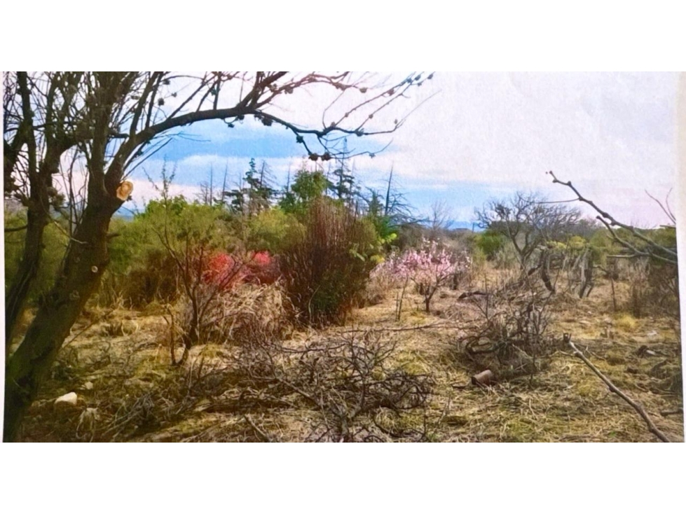 VENTA DE LOTE CON VISTAS EN QUEBRADA DE LUNA - CBA - 2
