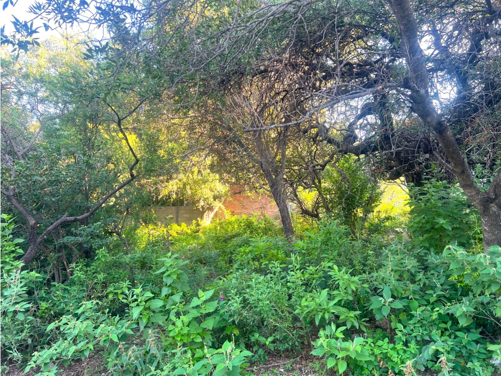 VENTA DE DOS LOTES EN B° FALDAS DEL URITORCO CAPILLA DEL MONTE - 5