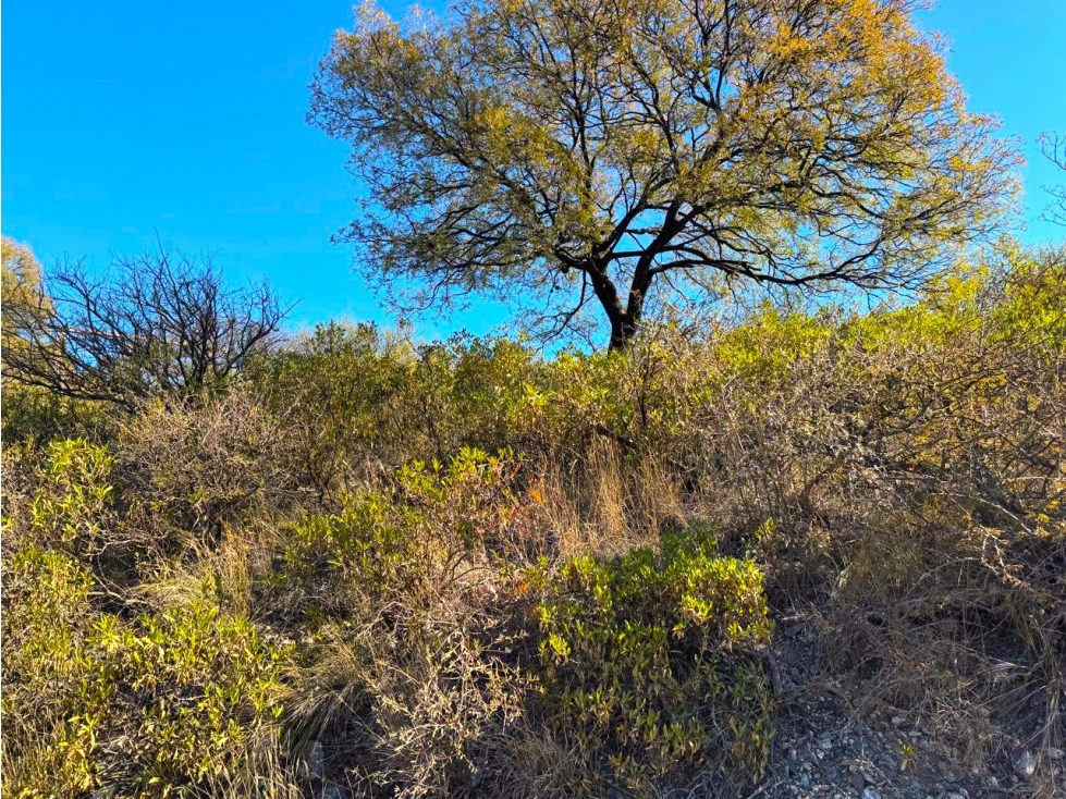 VENTA DE LOTES EN B° BALUMBA- CAPILLA DEL MONTE-CÓRDOBA - 4