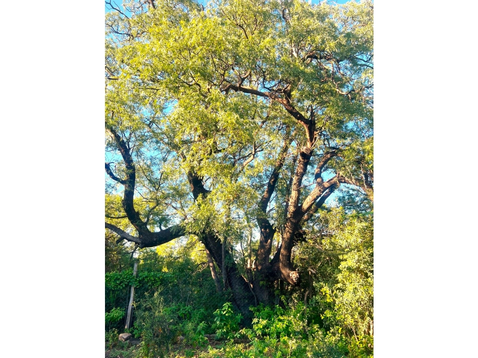 VENTA DE DOS LOTES EN B° FALDAS DEL URITORCO CAPILLA DEL MONTE - 4