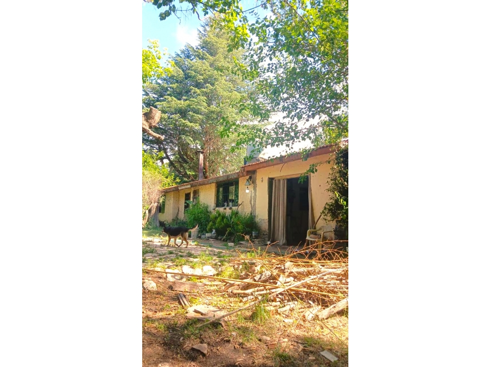 VENTA DE CASA CON 2 HÉCTAREAS EN SAN ESTEBAN - 6