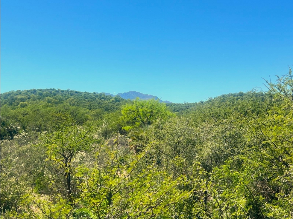 VENTA DE CABAÑA + HECTAREA EN CHARBONIER, CÓRDOBA - 2