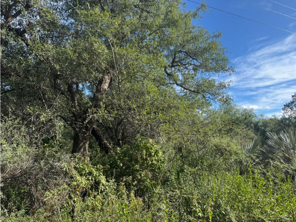 VENTA DE LOTE EN B° LA TOMA, CAPILLA DEL MONTE - 6