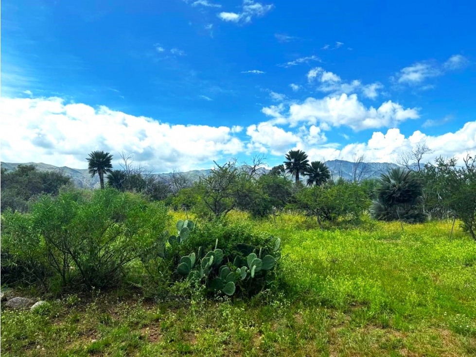 VENTA DE CASA EN 2 HECTAREAS EN QUEBRADA DE LUNA, CORDOBA - 6