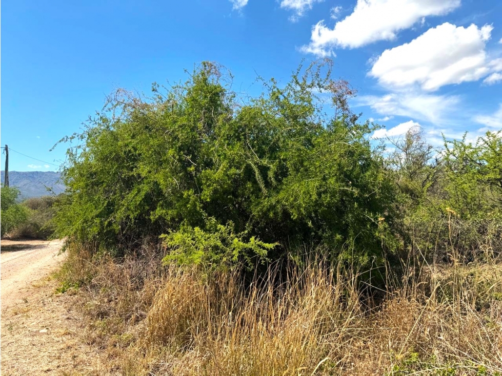 VENTA DE LOTE CON VISTAS EN SANTA ISABEL - CHARBONIER - 6