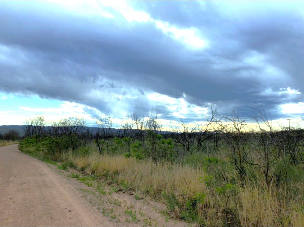 VENTA DE 4 HECTAREAS EN QUEBRADA DE LUNA - CAPILLA DEL MONTE - CORDOBA - 5