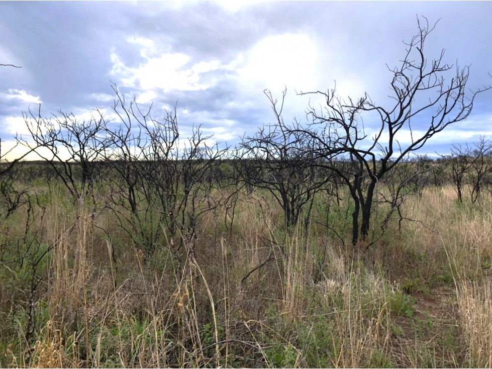 VENTA DE 4 HECTAREAS EN QUEBRADA DE LUNA - CAPILLA DEL MONTE - CORDOBA - 6