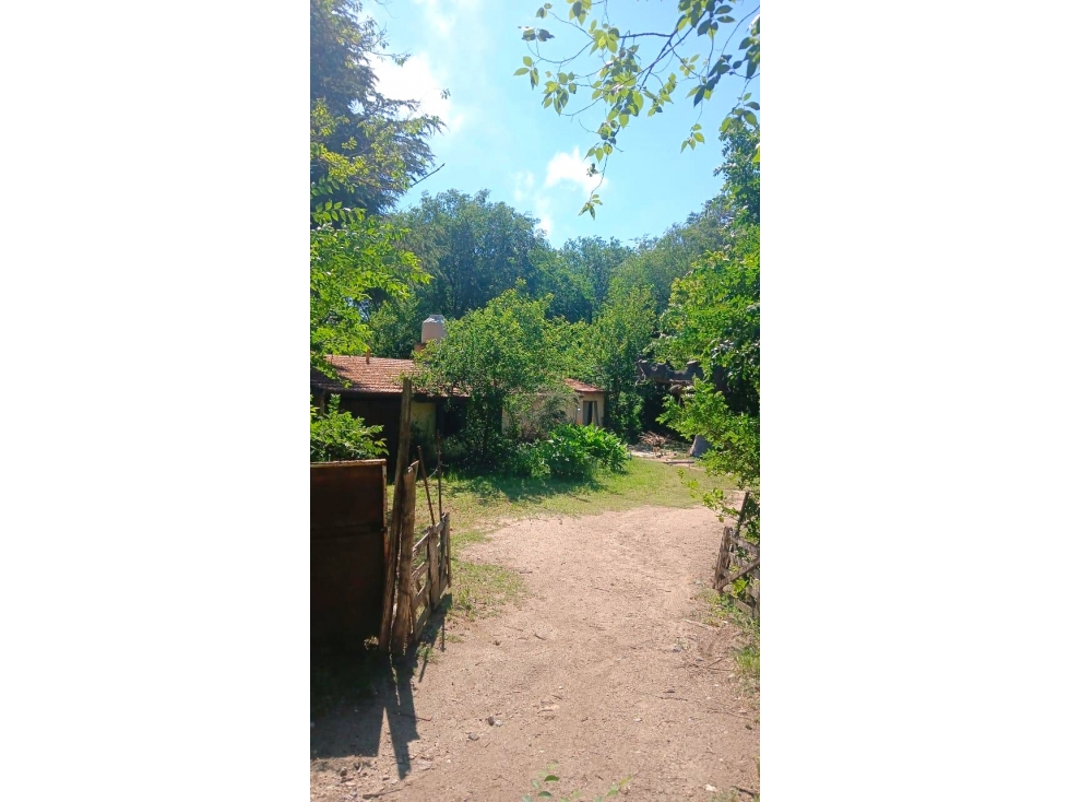 VENTA DE CASA CON 2 HÉCTAREAS EN SAN ESTEBAN - 1