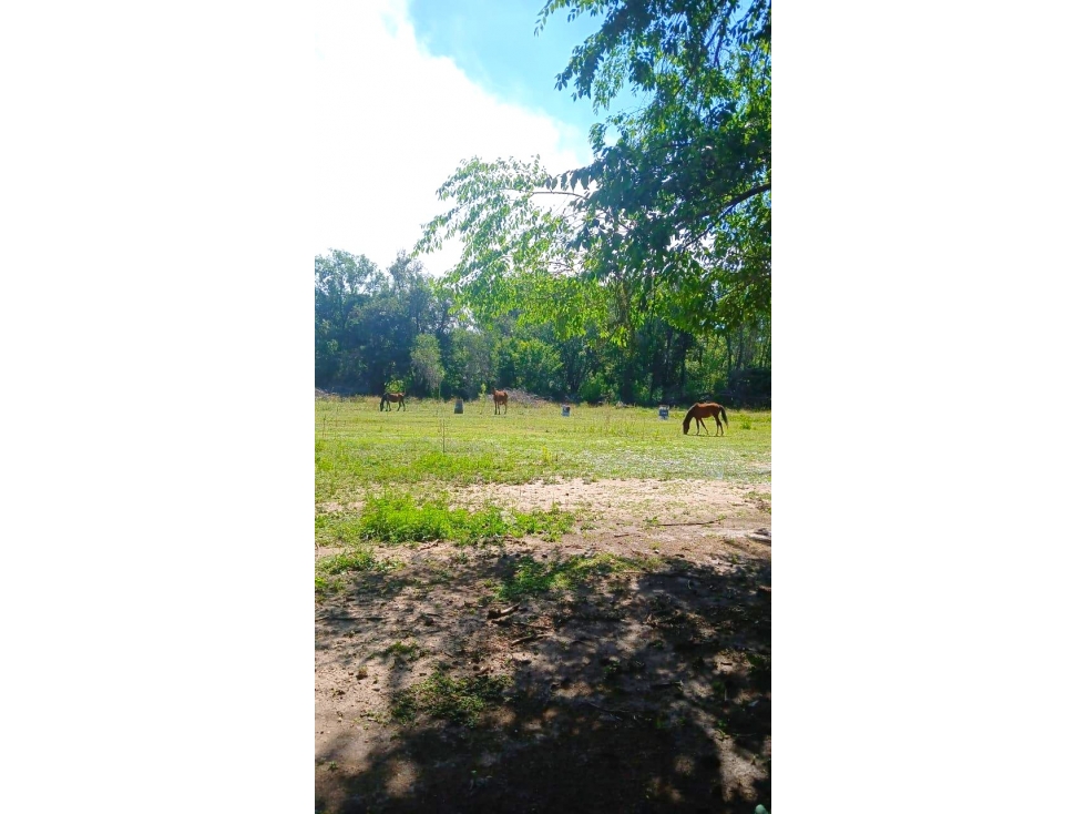 VENTA DE CASA CON 2 HÉCTAREAS EN SAN ESTEBAN - 4